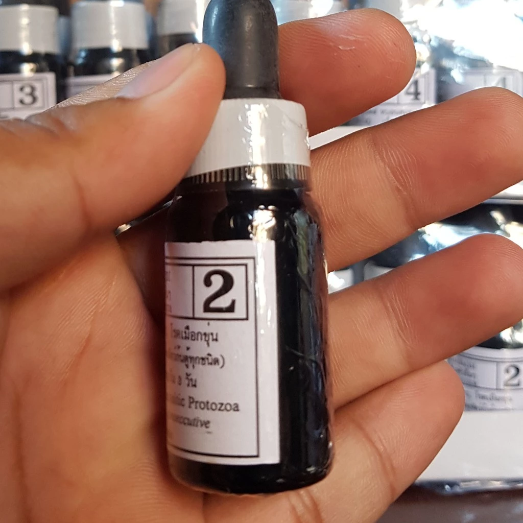 Bio Knock 1234 - Phòng Và Diệt Các Loại Nấm Cho Cá Cảnh - Ảnh 7