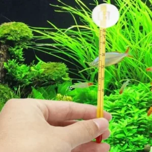 Nhiệt Kế Hồ Cá - Đo Nhiệt Độ Nước Hồ Cá