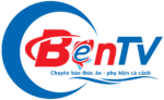 Cá Cảnh BENTV Chuyên Thức Ăn – Phụ Kiện Cho Cá Tép Cảnh