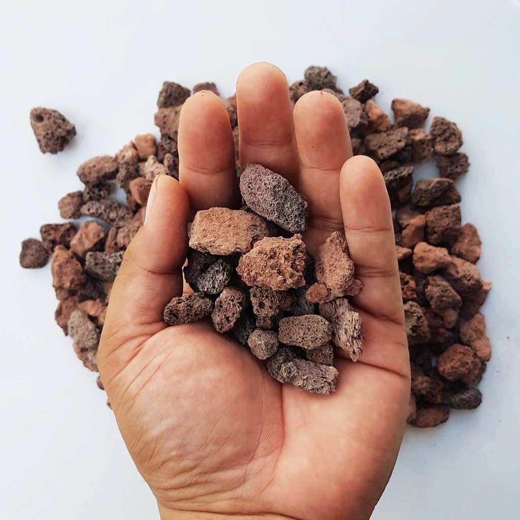 Nham Thạch - Vật Liệu Lọc Bể Cá Cảnh (1kg) - Ảnh 2