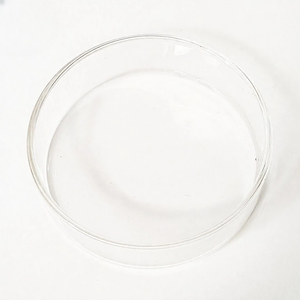 Chén Đựng Thức Ăn Cho Tép Cảnh (Thủy Tinh) - Ảnh 3
