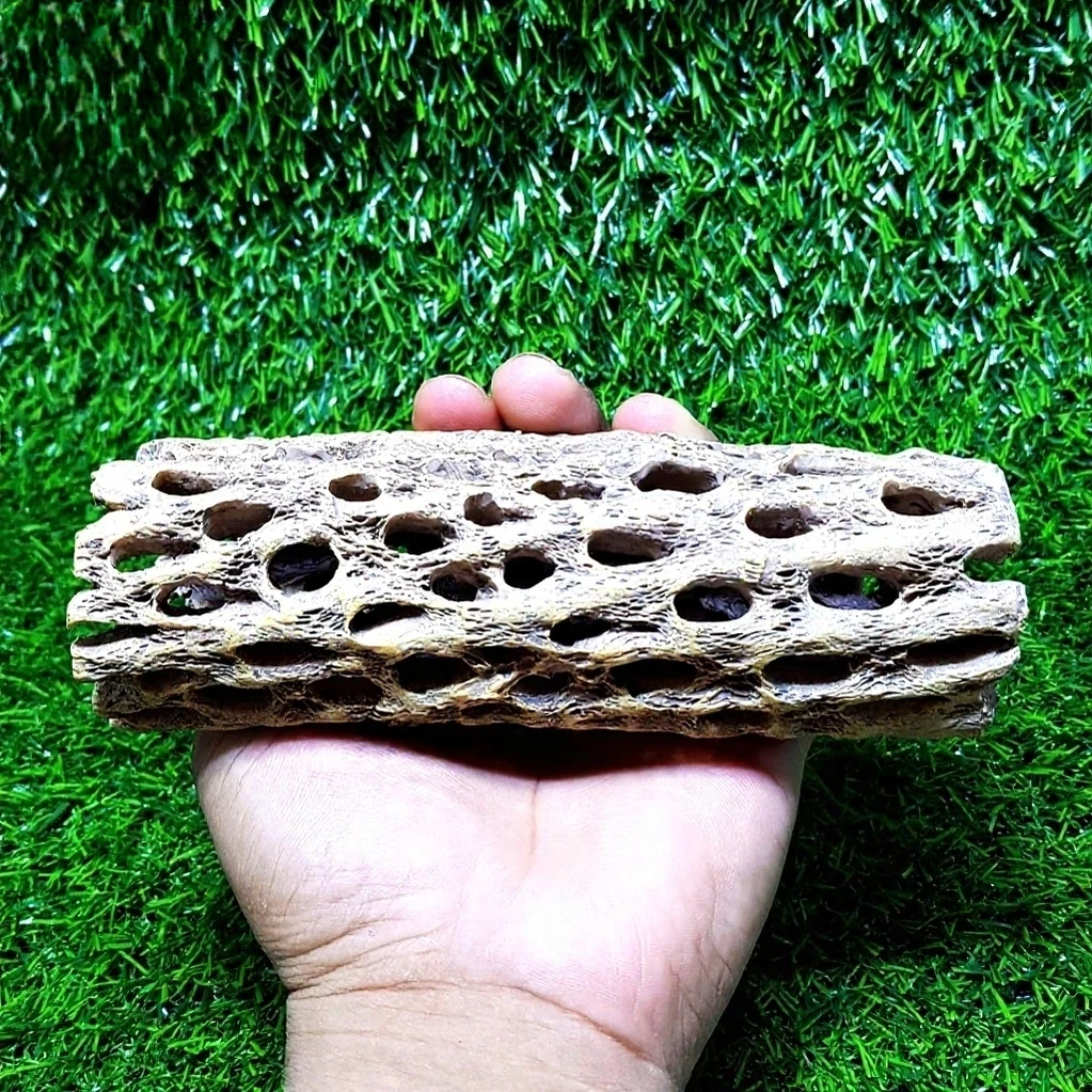 Mô Hình Nhựa Làm Hang Trú Ẩn Cho Tép - Ảnh 3