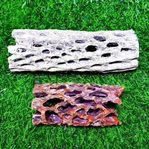 Mô Hình Nhựa Làm Hang Trú Ẩn Cho Tép